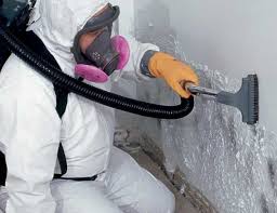 Best Water Damage & Mold Remediation  in Plano, IL